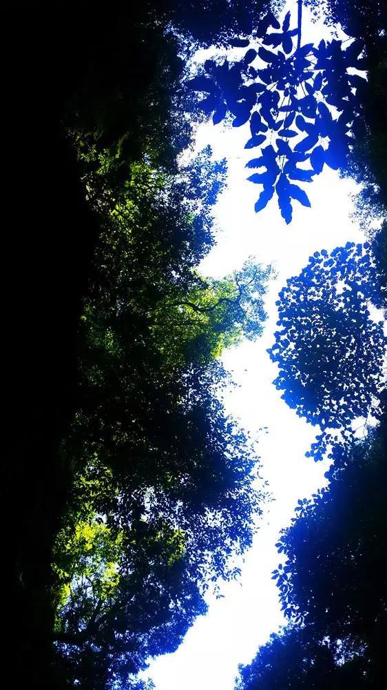 植保无人机飞手培训 为农业插上科技翅膀